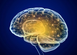 cerveau-connections-Projet-Shiva